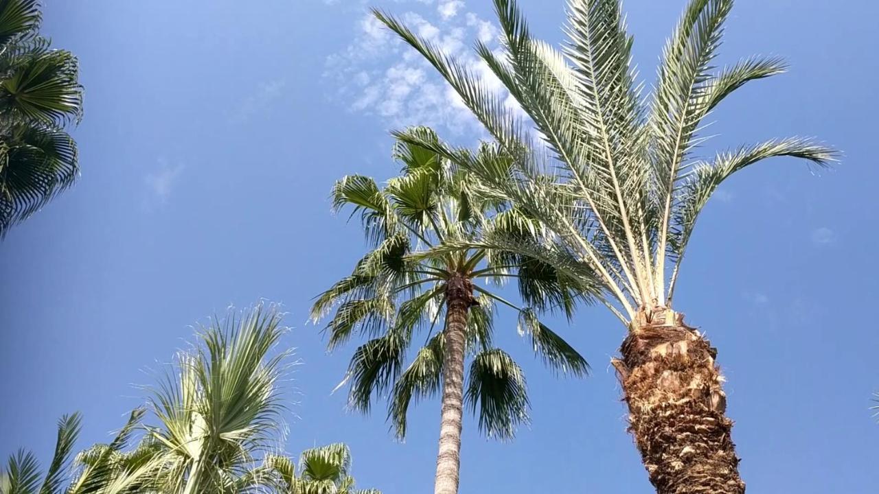Fantastic 1 Bed Apartment By The Sea Opposite 4 Seasons Limassol Exterior foto